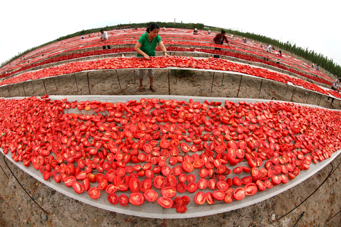 秋收的中國，你想象不到的美！但更美的是&hellip;&hellip;