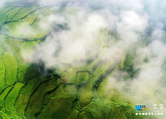 秋收的中國，你想象不到的美！但更美的是&hellip;&hellip;