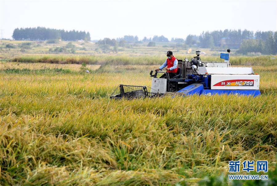(新華全媒頭條·壯闊東方潮 奮進新時代——慶祝改革開放40年·圖文互動)(9)小崗,與時代同行——“中國農(nóng)村改革第一村”40年變遷的改革啟示