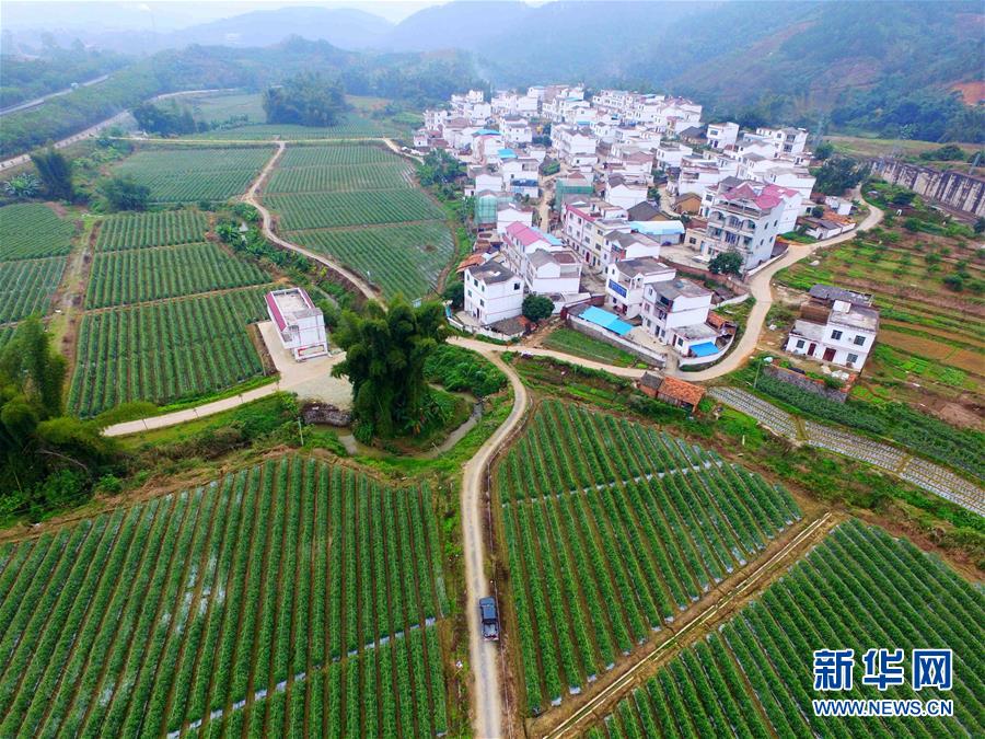 （輝煌60年&middot;壯美新廣西&middot;圖文互動）（10）從禿山到青山的蝶變&mdash;&mdash;廣西石漠化治理10年再現發展生機