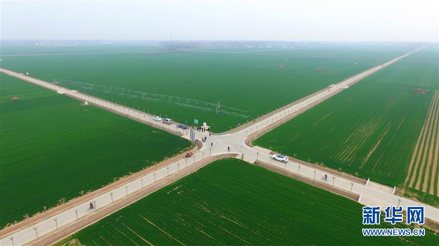(來自一線的調查報告·圖文互動)(1)從“填飽肚子”到“過好日子”——改革開放40年河南農業三重“蝶變記”