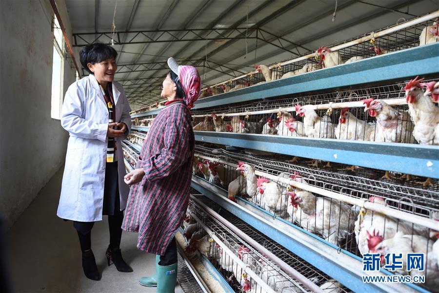 (改革先鋒風(fēng)采·圖文互動)(2)余留芬:讓人人有事干戶戶都小康