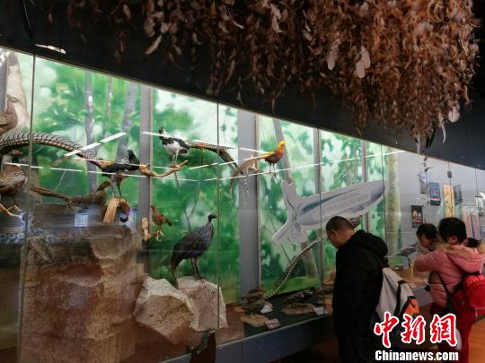 圖為展覽現場。　胡遠航 攝