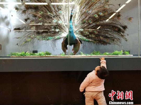 圖為展覽現場?！『h航 攝