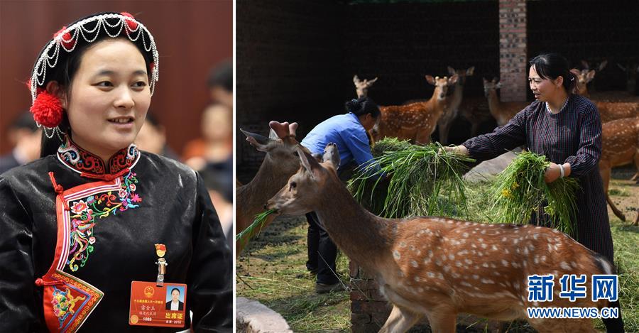 (兩會·影像鏈接)全國人大代表雷金玉:努力吸引人才 推動鄉村振興