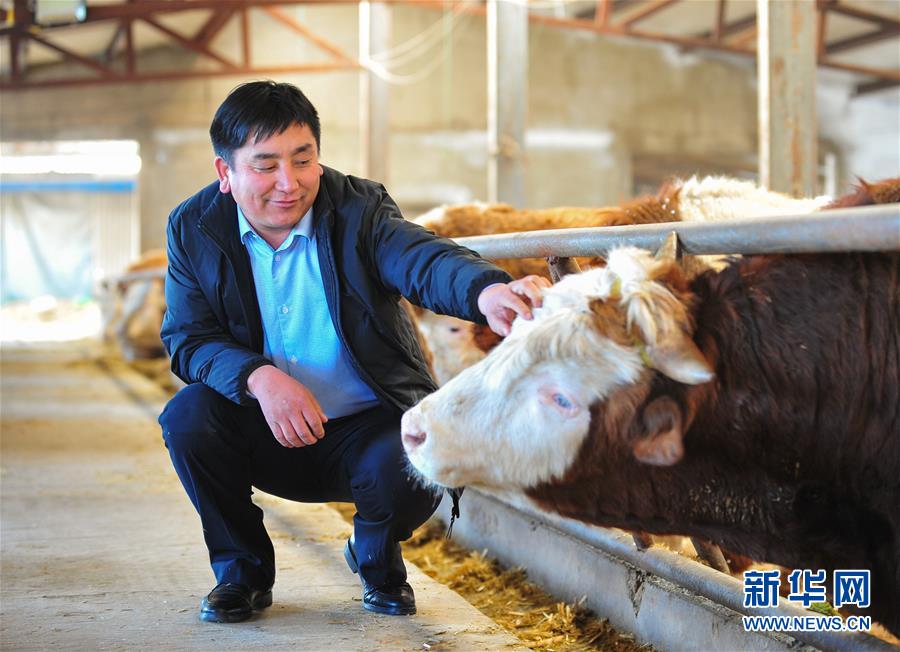 （兩會&middot;基層代表履職故事）（4）全國人大代表吳云波：共享新時代發展成果