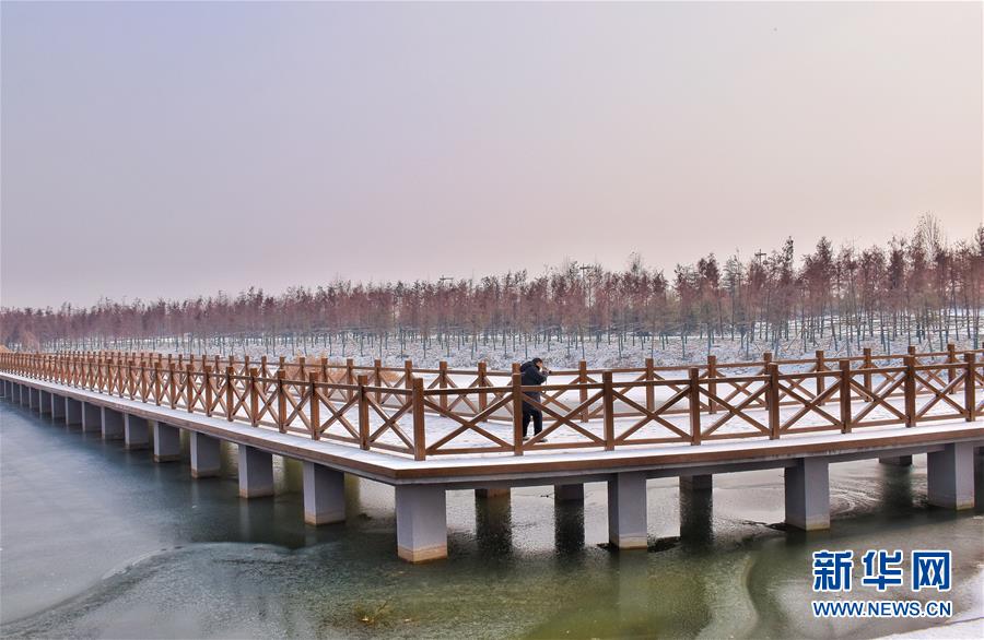 (在習近平新時代中國特色社會主義思想指引下——新時代新作為新篇章·圖文互動)(4)水綠相間看古都 古今輝映洛陽城