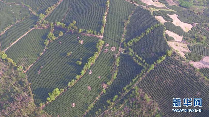 (兩會前夕看落實(shí)·圖文互動)(9)綠色發(fā)展引領(lǐng) 守護(hù)“魚米之鄉(xiāng)”——江蘇落實(shí)習(xí)近平總書記全國兩會重要講話精神紀(jì)實(shí)