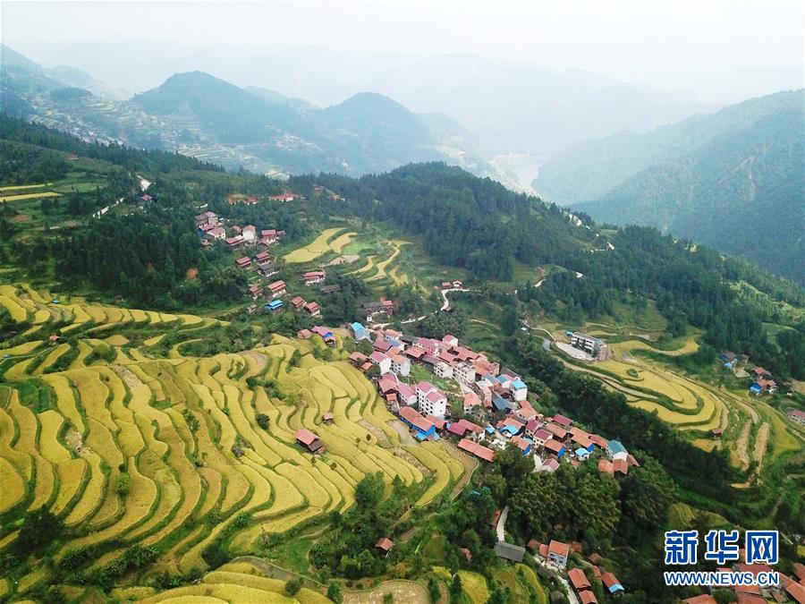 (兩會前夕看落實(shí)·圖文互動)(6)決戰(zhàn)脫貧攻堅(jiān) 奮力后發(fā)趕超——貴州落實(shí)習(xí)近平總書記全國兩會重要講話精神紀(jì)實(shí)