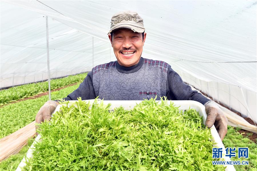 (兩會前夕看落實·圖文互動)(3)融合“三生三美” 打造鄉村振興齊魯樣板——山東落實習近平總書記全國兩會重要講話精神紀實