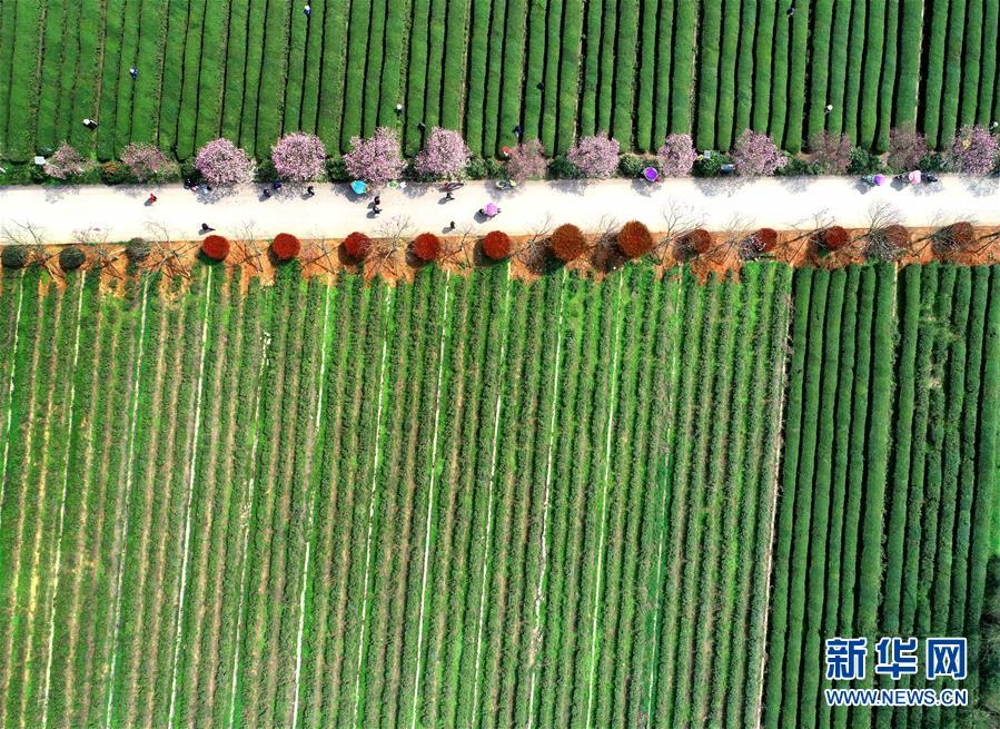 （新華全媒頭條&middot;兩會精神看落實&middot;圖文互動）（3）保持戰略定力 跨越重要關口&mdash;&mdash;落實兩會精神加強生態文明建設述評