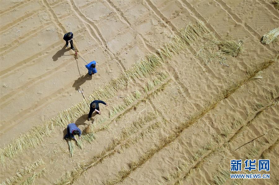 （新華全媒頭條&middot;圖文互動）（9）八步沙&middot;六老漢&middot;三代人