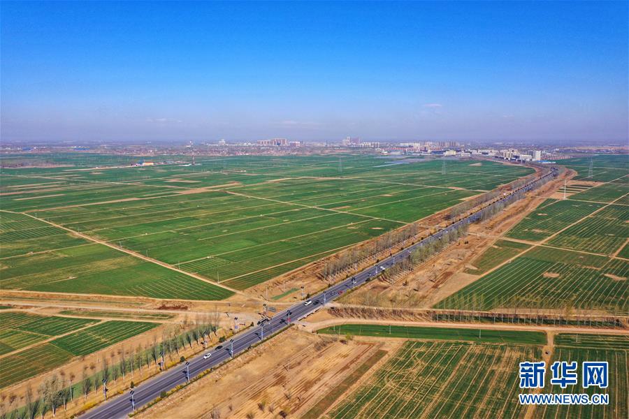 (新華全媒頭條·圖文互動)(2)奮進,向著未來之城!——河北雄安新區建設發展兩周年紀實