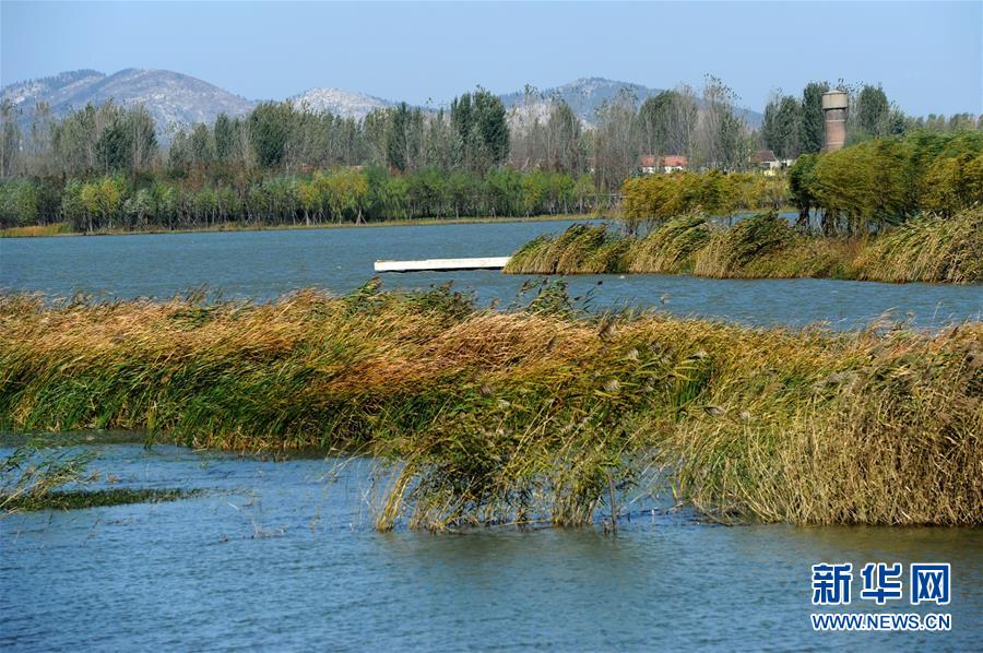 (新華全媒頭條·圖文互動)(13)城市重生的徐州邏輯——資源枯竭城市的轉型之道