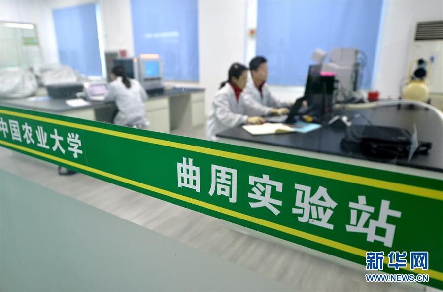 (愛國情 奮斗者·圖文互動)(3) “解民生之多艱,育天下之英才”——中國農(nóng)大師生扎根田野書寫奉獻(xiàn)之歌