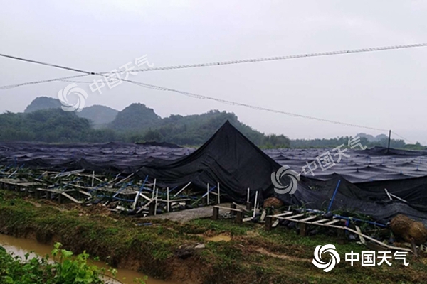 周末雨不休!南北方同迎大范圍降水
