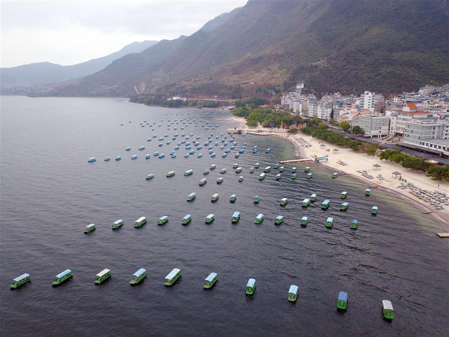 （新華全媒頭條&middot;北京世園會&middot;圖文互動）（14）建設美麗中國 共筑綠色家園&mdash;&mdash;寫在2019年中國北京世界園藝博覽會開幕之際