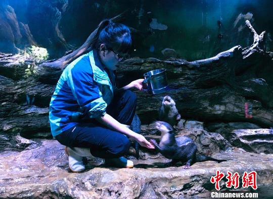 &ldquo;90后&rdquo;女馴養師：為&ldquo;挑食&rdquo;伙伴做美食親密似家人