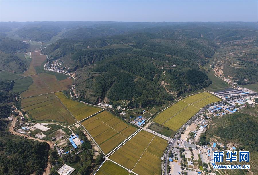 (圖文互動)(1)今日延安:“對照過去我認不出了你”——紅色圣地的生態交響曲