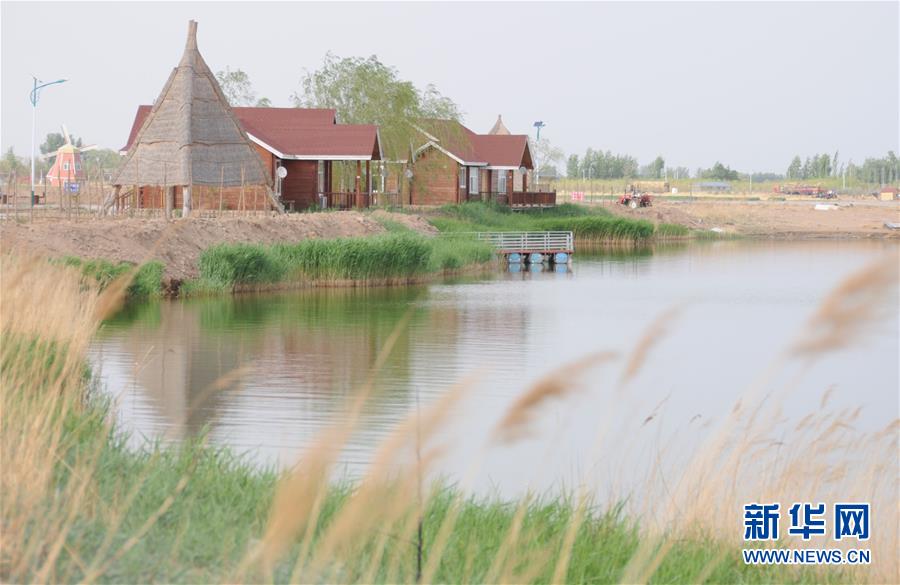 (北京世園會·圖文互動)(4)“百湖之鄉”磴口縣再現生態田園風光