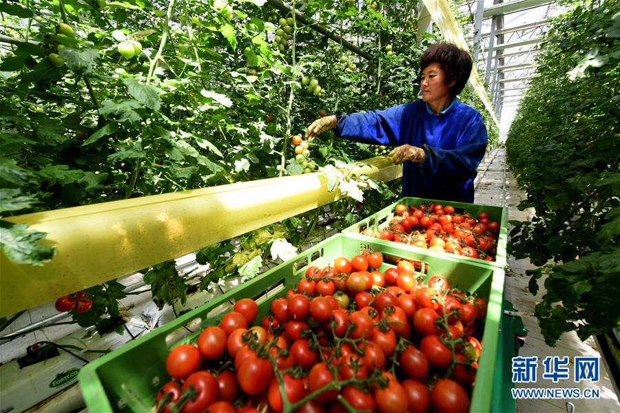 （新華全媒頭條&middot;圖文互動）（6）屹然砥柱立中流&mdash;&mdash;&ldquo;今日之中國&rdquo;系列述評之二
