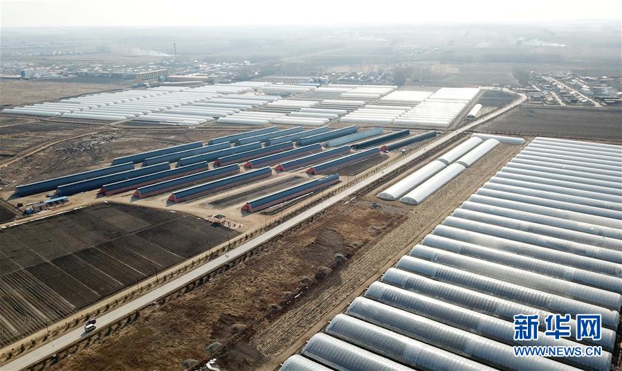 （在習近平新時代中國特色社會主義思想指引下&mdash;&mdash;新時代新作為新篇章&middot;圖文互動）（3）&ldquo;無人作業&rdquo;來臨 綠色食品&ldquo;當家&rdquo;&mdash;&mdash;黑龍江探索現代農業發展路徑