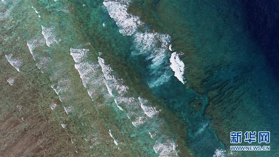 (壯麗70年·奮斗新時(shí)代·新華全媒頭條·圖文互動(dòng))(2)“你在我的航程上,我在你的視線里”——走進(jìn)海軍西沙中建島官兵的五彩世界