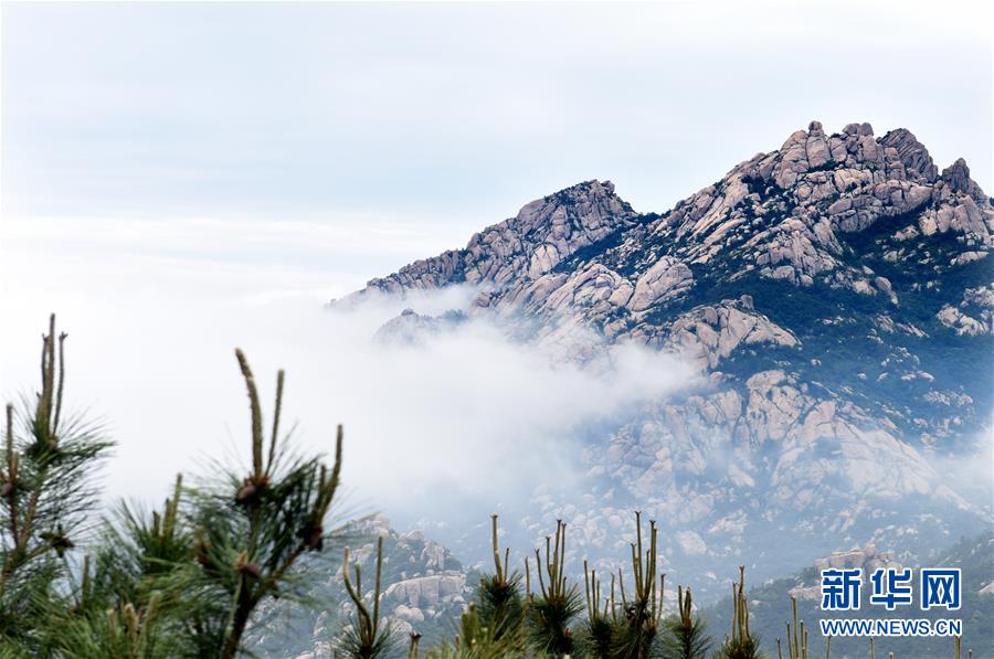 (北京世園會)(8)生態中國·海岱齊魯鐘神秀