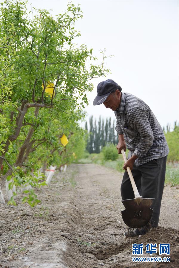(圖文互動)(1)吐木爾家最后一個農民