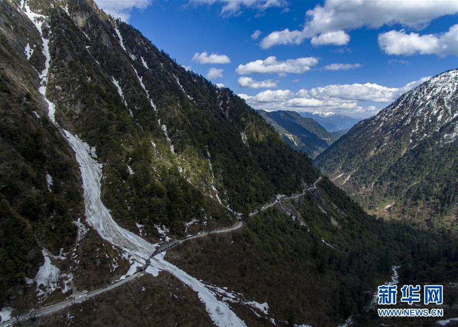 (直過民族脫貧攻堅·圖文互動)(1)滿目青山變成“綠色銀行”——我國獨龍族人民走出綠色脫貧之路