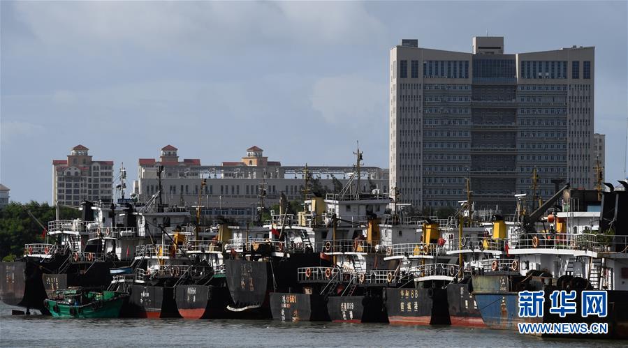 (社會)(1)海口:船舶回港避臺風(fēng)