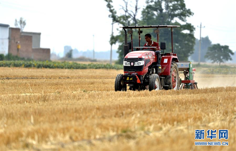 (新華全媒頭條·圖文互動)(8)一個傳統(tǒng)農(nóng)業(yè)縣的脫貧之路——來自河北新河的調(diào)查報告