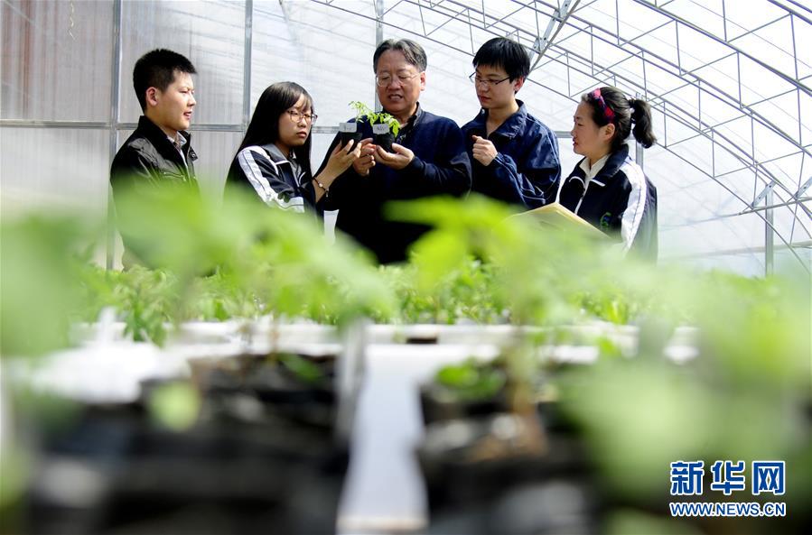 (新華全媒頭條·圖文互動)(7)和蔬菜“說話”的人——中國工程院院士李天來的“棚菜人生”
