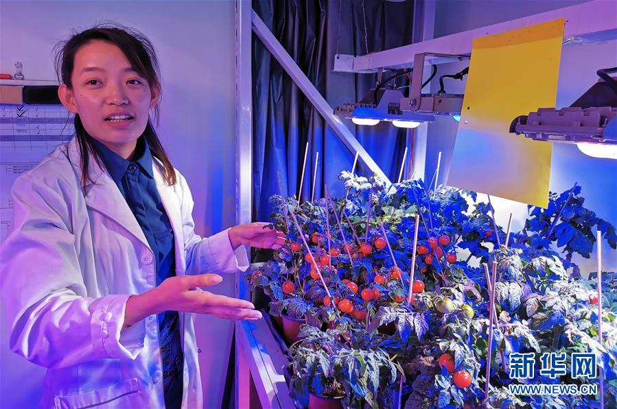 （愛國情 奮斗者&middot;圖文互動）（4）池建義團隊：把論文寫在產品上