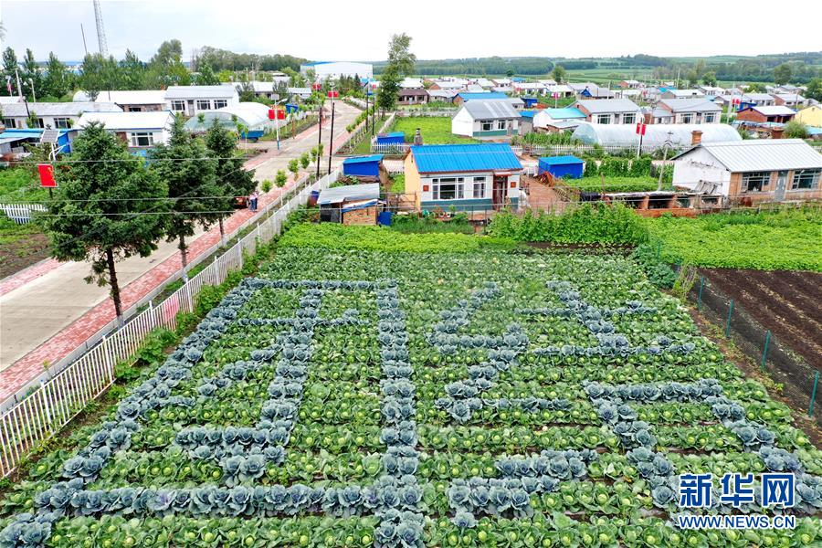 (圖文互動)(1)(在習近平新時代中國特色社會主義思想指引下——新時代新作為新篇章)“團結”振興團結村——黑龍江拜泉縣團結村凝聚民心攻堅脫貧