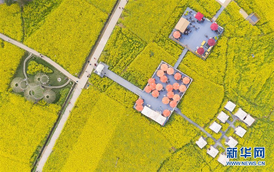 (壯麗70年·奮斗新時代——共和國發展成就巡禮·圖文互動)(13)治蜀往事激越 興川今朝豪邁——新中國成立70年四川發展巡禮