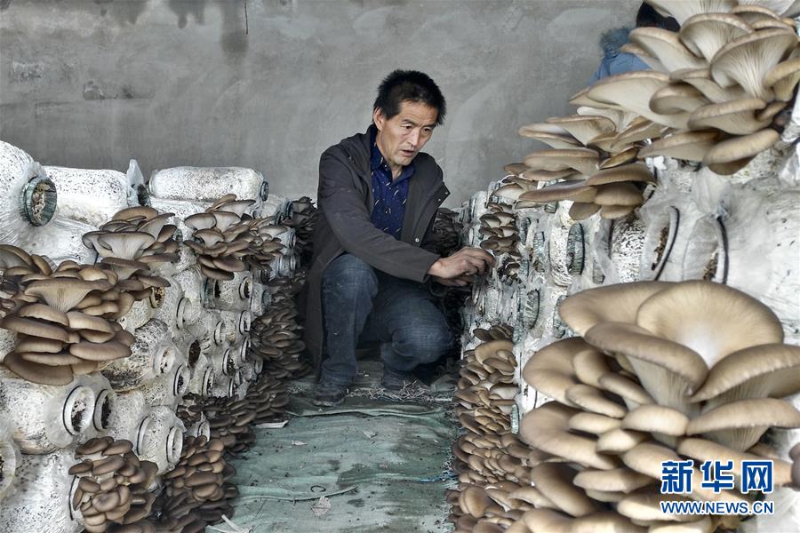 （脫貧攻堅&middot;圖文互動）（3）東達村脫貧記