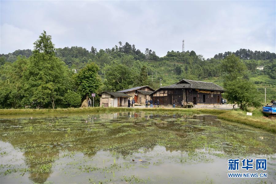 (來自一線的調查報告·圖文互動)(2)利益聯(lián)結強產(chǎn)業(yè) 打通城鄉(xiāng)促振興——重慶涪陵大順鄉(xiāng)鄉(xiāng)村振興觀察