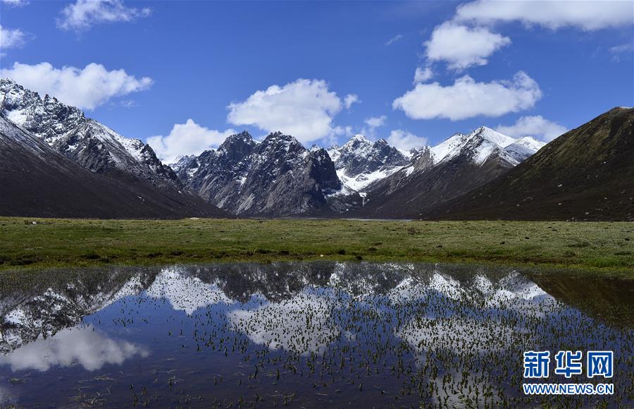 （今日關(guān)注&middot;第一屆國家公園論壇&middot;圖文互動）（6）首個(gè)國家公園什么樣？專家?guī)阆?ldquo;睹&rdquo;為快