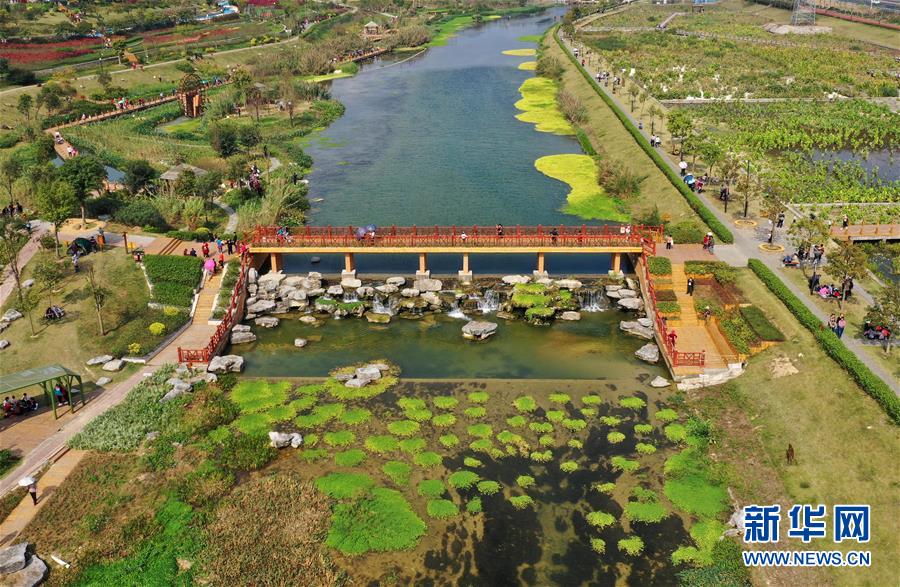 （壯麗70年 奮斗新時代&mdash;&mdash;推動高質量發展調研行&middot;圖文互動）（4）亮出一江清水優質&ldquo;成績單&rdquo;&mdash;&mdash;廣西重點流域水環境綜合治理觀察