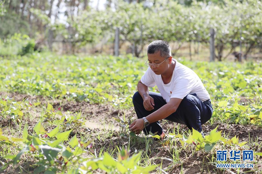 （不忘初心、牢記使命&middot;圖文互動）（4）&ldquo;上天入地&rdquo;也要帶領鄉親脫貧&mdash;&mdash;記廣東那毛村駐村第一書記彭彬