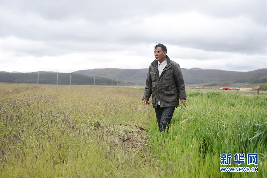 (新華全媒頭條·圖文互動)(8)確保“中華水塔”碧水東流——中國三江源生態保護報告