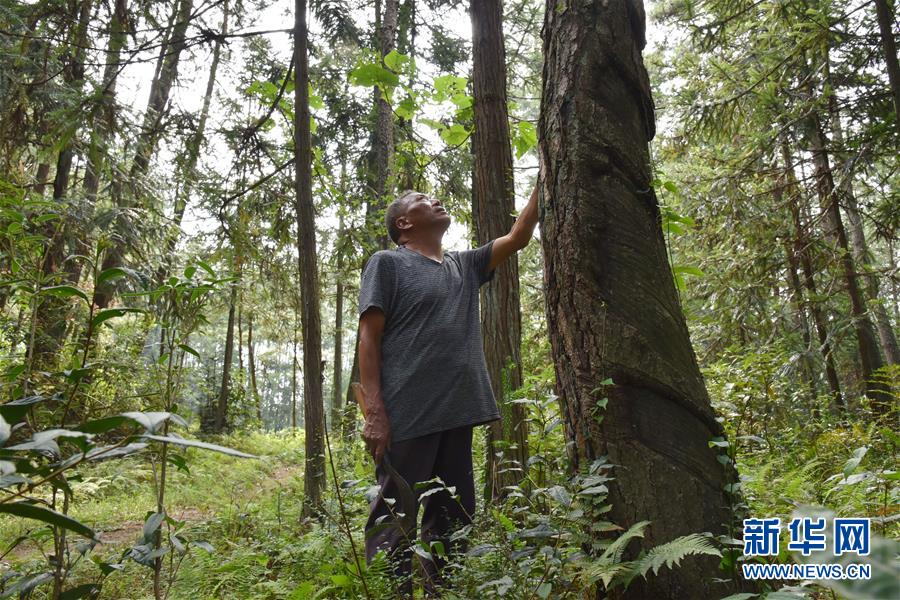 (愛(ài)國(guó)情 奮斗者·圖文互動(dòng))(3)貴州印江高石坎護(hù)林隊(duì):半輩子,以林場(chǎng)為家