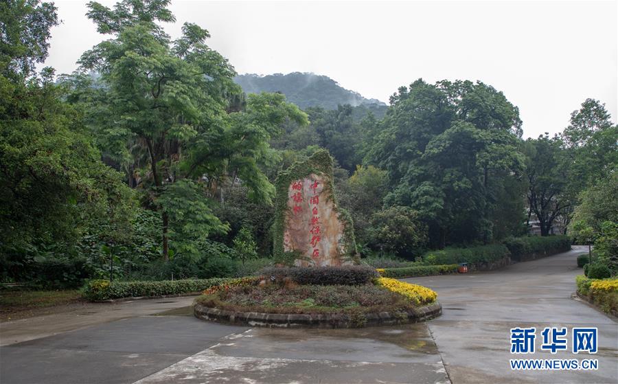 (圖文互動)(1)科學接續(xù)保護 守住生態(tài)紅線——探訪“北回歸沙漠帶上的綠色明珠”