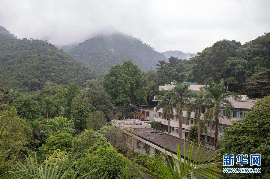 (圖文互動)(3)科學接續(xù)保護 守住生態(tài)紅線——探訪“北回歸沙漠帶上的綠色明珠”