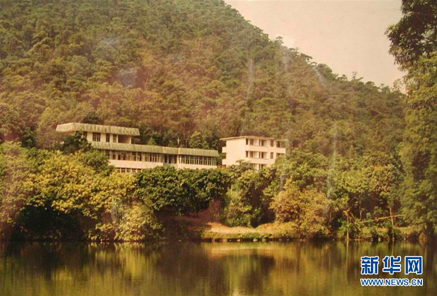 (圖文互動)(4)科學接續(xù)保護 守住生態(tài)紅線——探訪“北回歸沙漠帶上的綠色明珠”