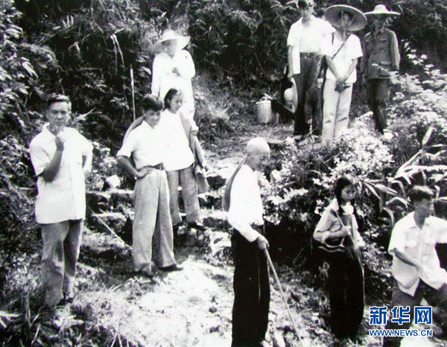 (圖文互動)(5)科學接續(xù)保護 守住生態(tài)紅線——探訪“北回歸沙漠帶上的綠色明珠”