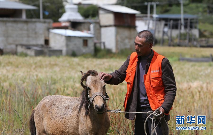 （新華全媒頭條&middot;決戰(zhàn)決勝脫貧攻堅&middot;圖文互動）（4）為了人與自然和諧共生&mdash;&mdash;云南&ldquo;三江并流&rdquo;地區(qū)決戰(zhàn)精準(zhǔn)脫貧的&ldquo;生態(tài)畫卷&rdquo;
