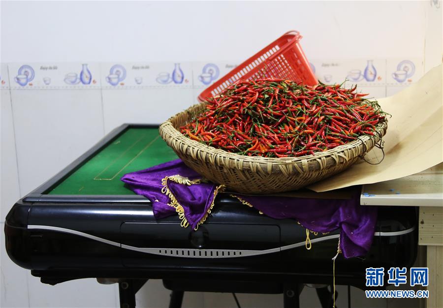 （四中全會精神在基層&middot;圖文互動）（2）特寫：麻將桌&ldquo;失業&rdquo;記