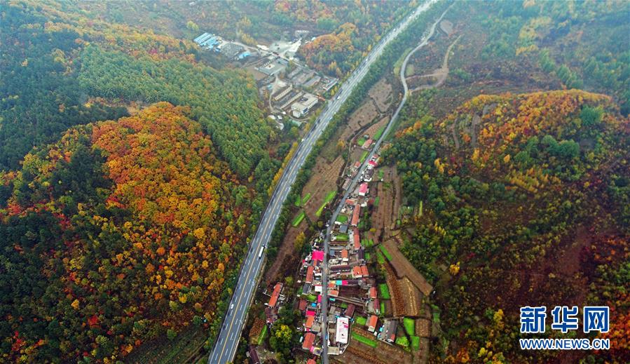 (新華全媒頭條·四中全會精神在基層·圖文互動)(6)沖破衰退循環 引領生態崛起——東北老工業基地城市本溪綠色轉型煥發朝氣
